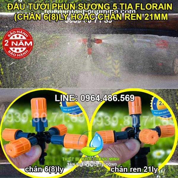 Đầu tưới phun sương 5 tia ren ngoài 21ly 6mm Flora