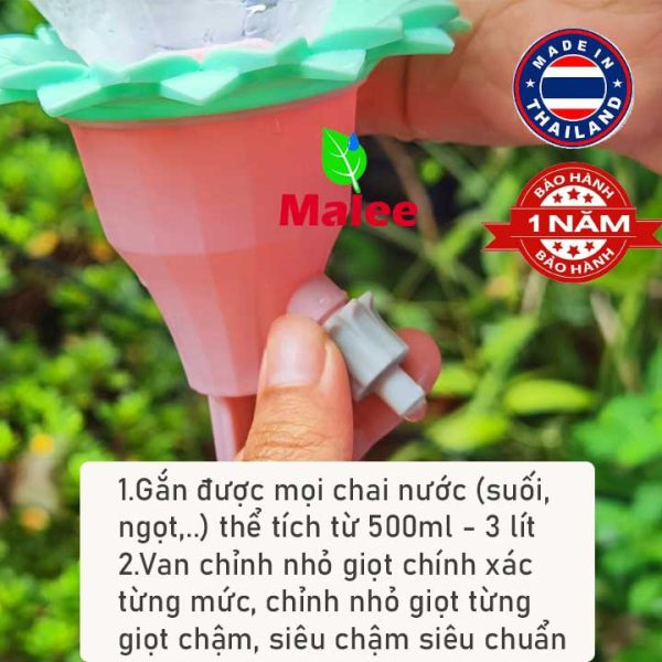 dau-tuoi-nho-giot-gan-chai-nuoc-suoi-tu-chay-malee-thai-lan